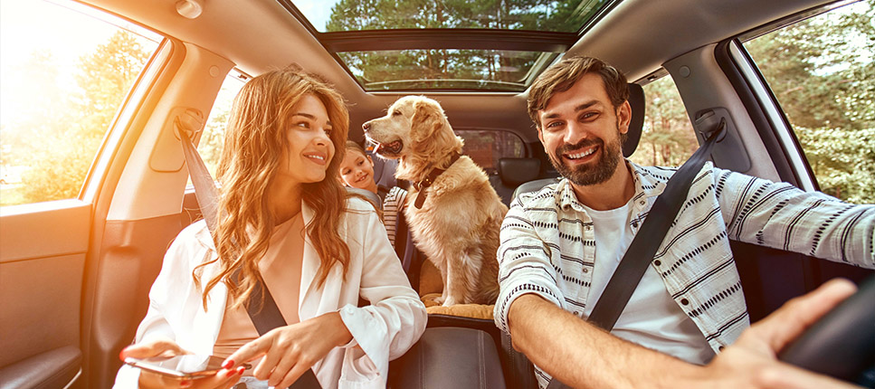 auto family with dog in car