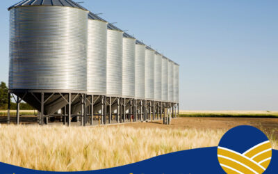 The Importance of Grain Bin Safety