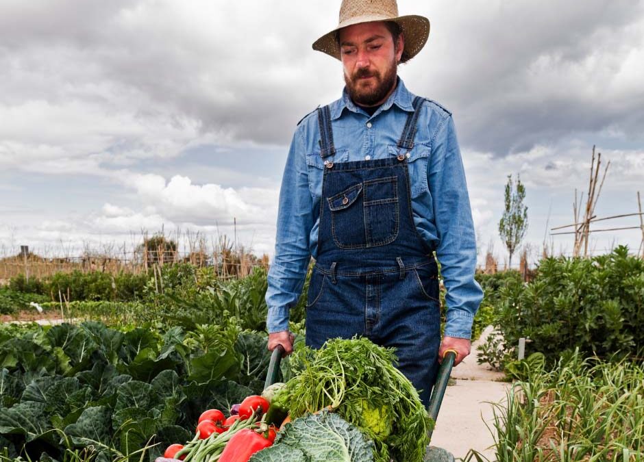 Farm & Harvest Insurance Tips