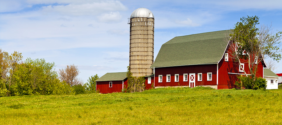 Farm Insurance Banner - wattskennedy.com