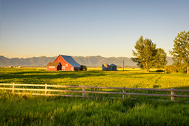Farm Insurance - wattskennedy.com