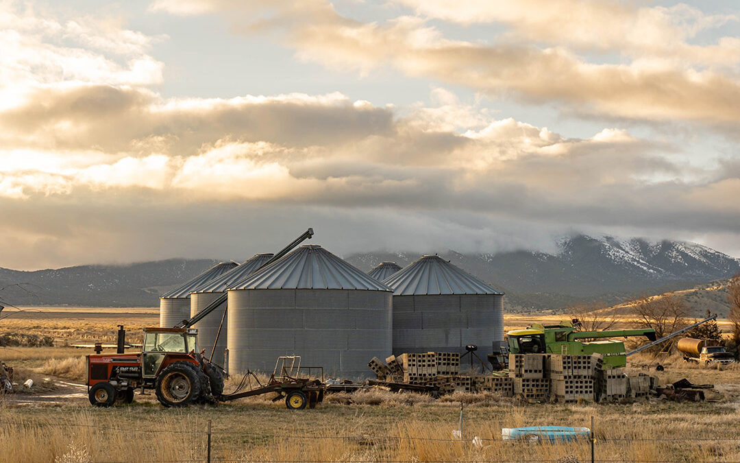Why Crop Insurance and Farm Coverage Deserve a Review