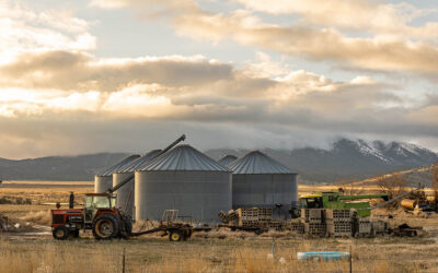 Harvest Season in Montana: Why Crop Insurance and Farm Coverage Deserve a Review