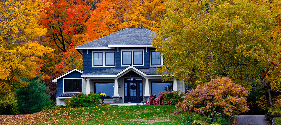 Home Insurance Banner - wattskennedy.com